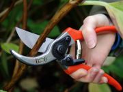  Burgon and Ball RHS-endorsed bypass secateur 